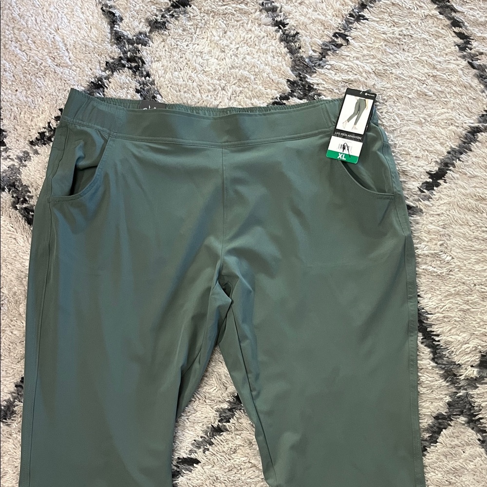 NWT Eddie Bauer Traveler Ankle Pants - Picture 3 of 10